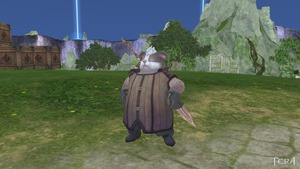 TERA_ScreenShot_20121114_014615