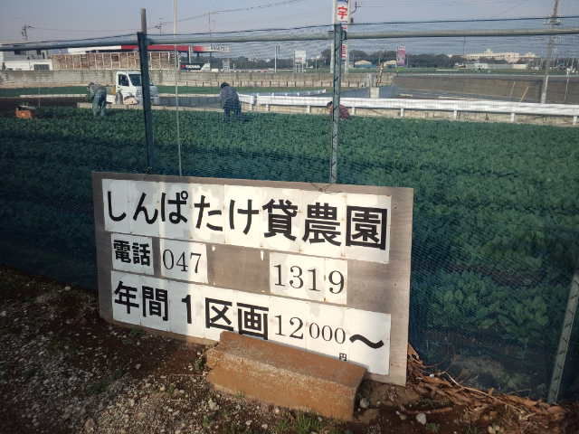 しんぱたけ なんてったって芝山