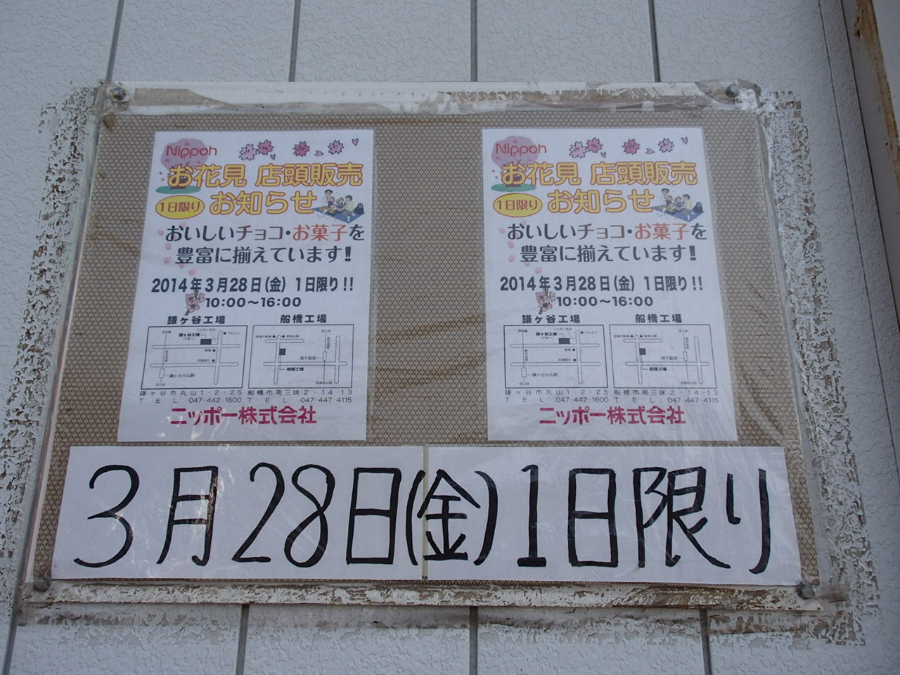 チョコレート工場のセールに行ってきました なんてったって芝山