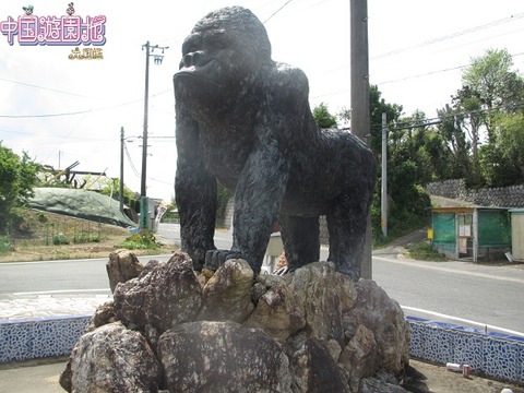 IMG_1778