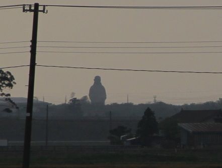 IMG_2330