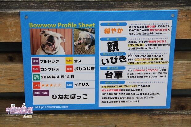愛知 わんわん動物園のワンコの紹介文がサイコーだった件 軟体レポート 愛知 わんわん動物園のワンコの紹介文がサイコーだった件 軟体レポート