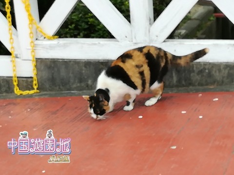 IMG_20200225_141749
