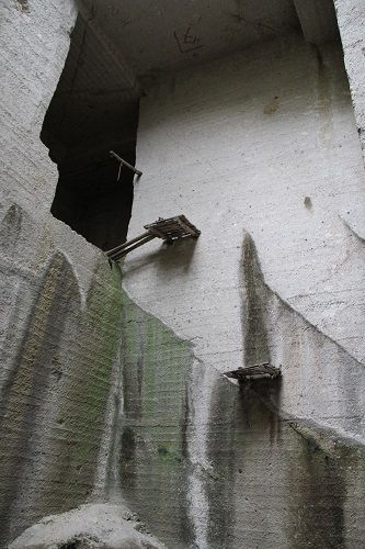 IMG_3329