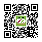 sokuho-qrcode3