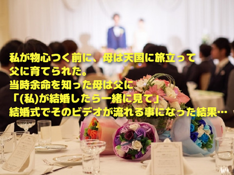 2596071_s (1)