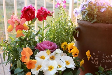 bdcc0ccb9678bd449224fe41dac28e3c_s