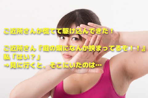 330953_s (1)