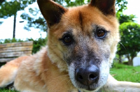 417f669d728a1415f7f52932ca31ccc1_s