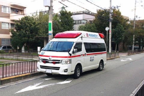 446584b1095cfc7e6231af579c40819f_s