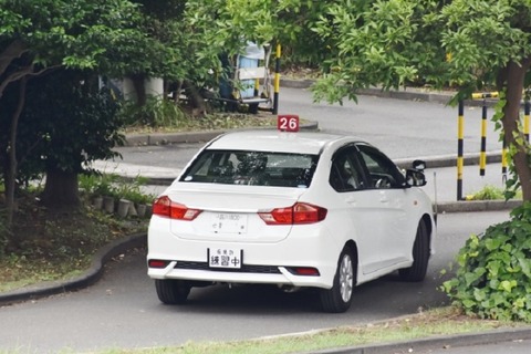 2615364_s