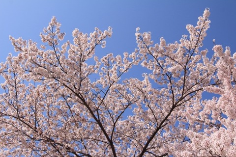 bc0337a22e278366a80e3fd6330fb632_s