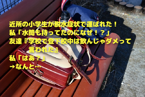 22910195_s (1)