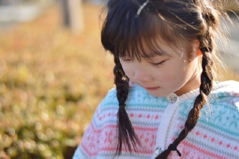 bbeae967739e85e0e77249c3b9f03266_s