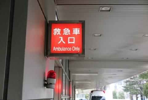 23478893_s