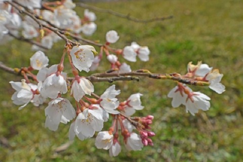 c137b034aacd86761f57e73b1ec257f5_s