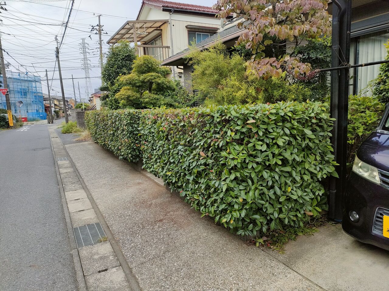 思わず垣根刈り : なんちゃって父ちゃんの部屋