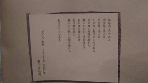 いおいおいお