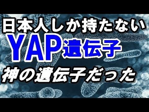 ファッショントレンド