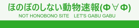 はい