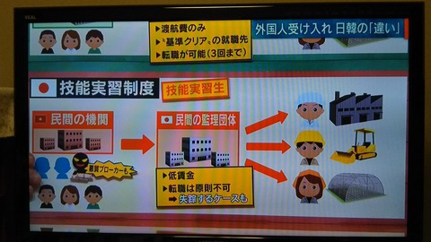 pbs.twimg.com_media_DtLJoZoVsAAuHo8