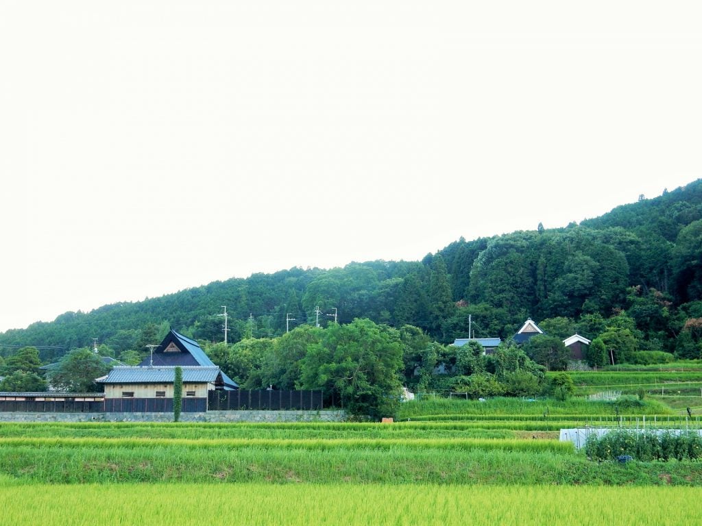 【調査】地方移住して後悔したこと、3位「給与水準が低い」、2位「娯楽が少ない」、1位は？