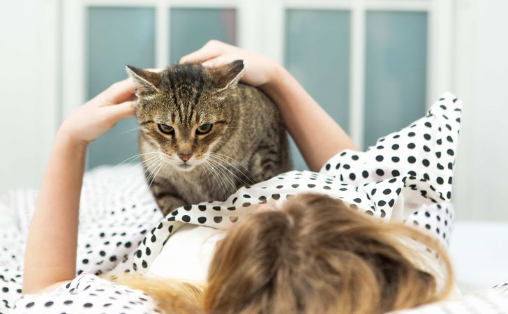 【良話】飼い主の命を救った猫、睡眠中に心臓発作を起こした女性を肉球で叩き、鳴き声で起こす！