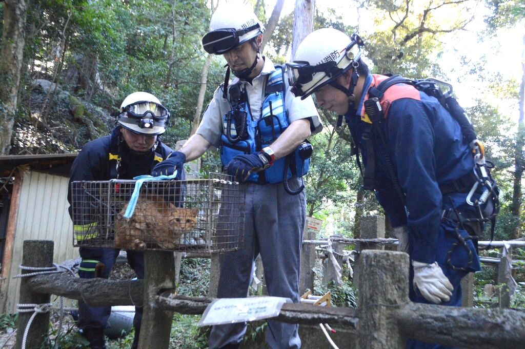 【(ΦωΦ)】ネコ救出大作戦！深さ13メートルの井戸から鳴き声が…消防が見事ミッション完了！