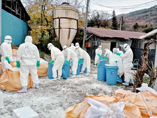 【感染症】鳥インフル、人間の致死率は5割超！新たなパンデミックの可能性を専門家が警告！