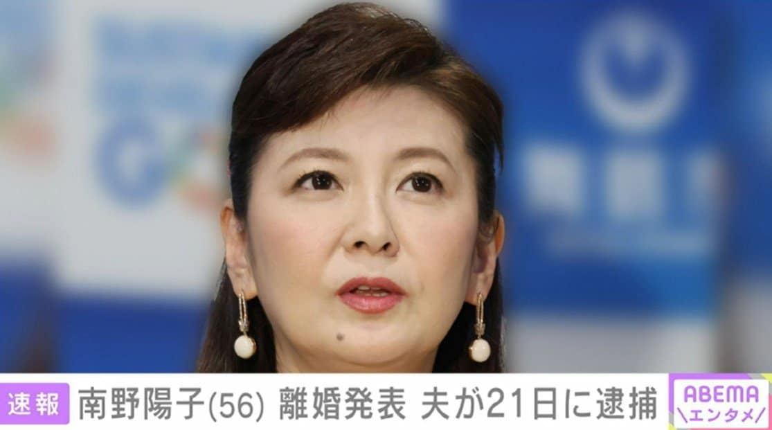 【芸能】南野陽子、夫逮捕からの「スピード離婚」にネットで同情論…