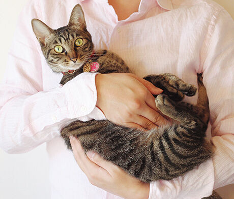 【猫】ネコは女性よりも男性の飼い主にニャーニャー鳴くことが研究で明らかに