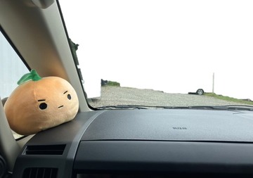 南デリとなるオモザイク