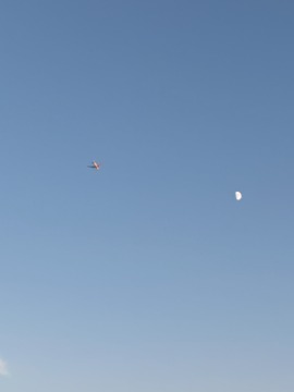 IMG_3272 (1)