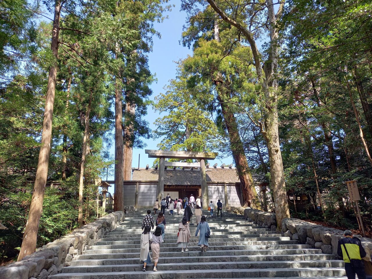 爆発は春の季語 南山大学体育会水泳部