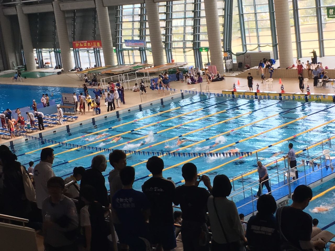 試合結果 南山大学体育会水泳部