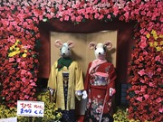 40CB45B1-0C13-458C-8652-F2722C07A4C0