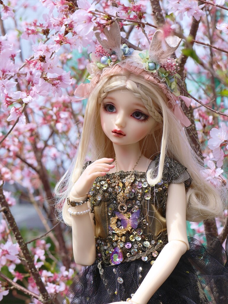 今日はヴェーラの誕生日です お迎え一周年 ウチのナマモノ 今日はヴェーラの誕生日です お迎え一周年 ウチのナマモノ