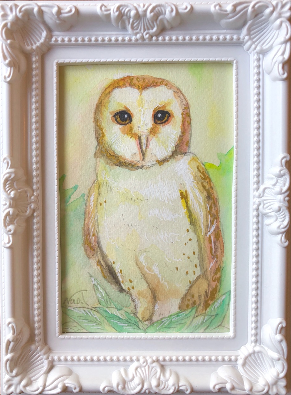 メンフクロウの肖像画 猛禽類 透明水彩 原画 ウチのナマモノ メンフクロウの肖像画 猛禽類 透明水彩 原画 ウチのナマモノ