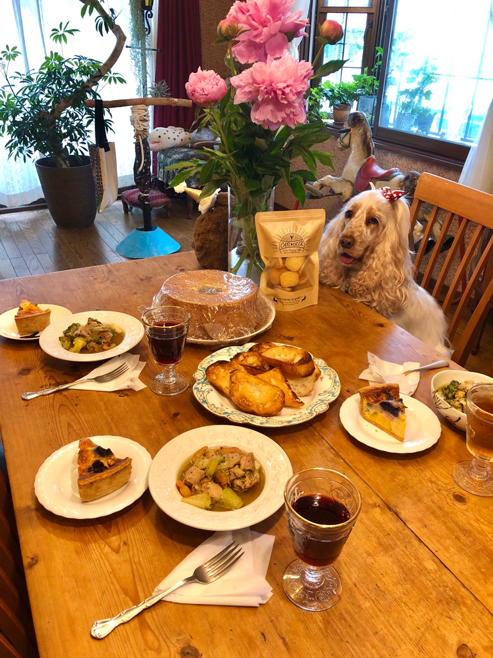 友達が泊まりに来てくれてました オクタパジャマ ウチのナマモノ