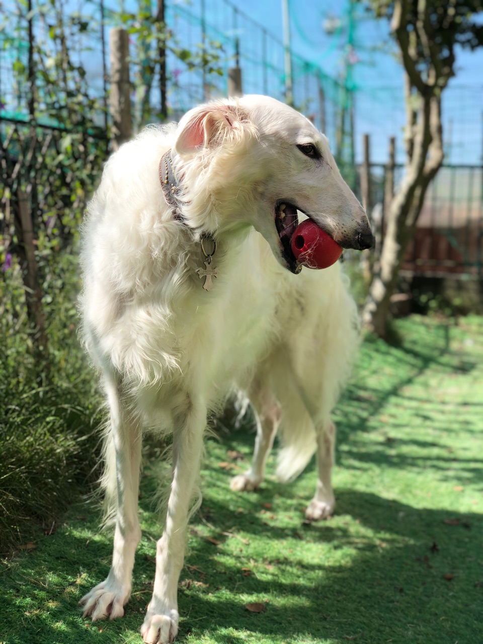 イケメンは好き放題やって良いと法律で決まってるらしい ウチのナマモノ