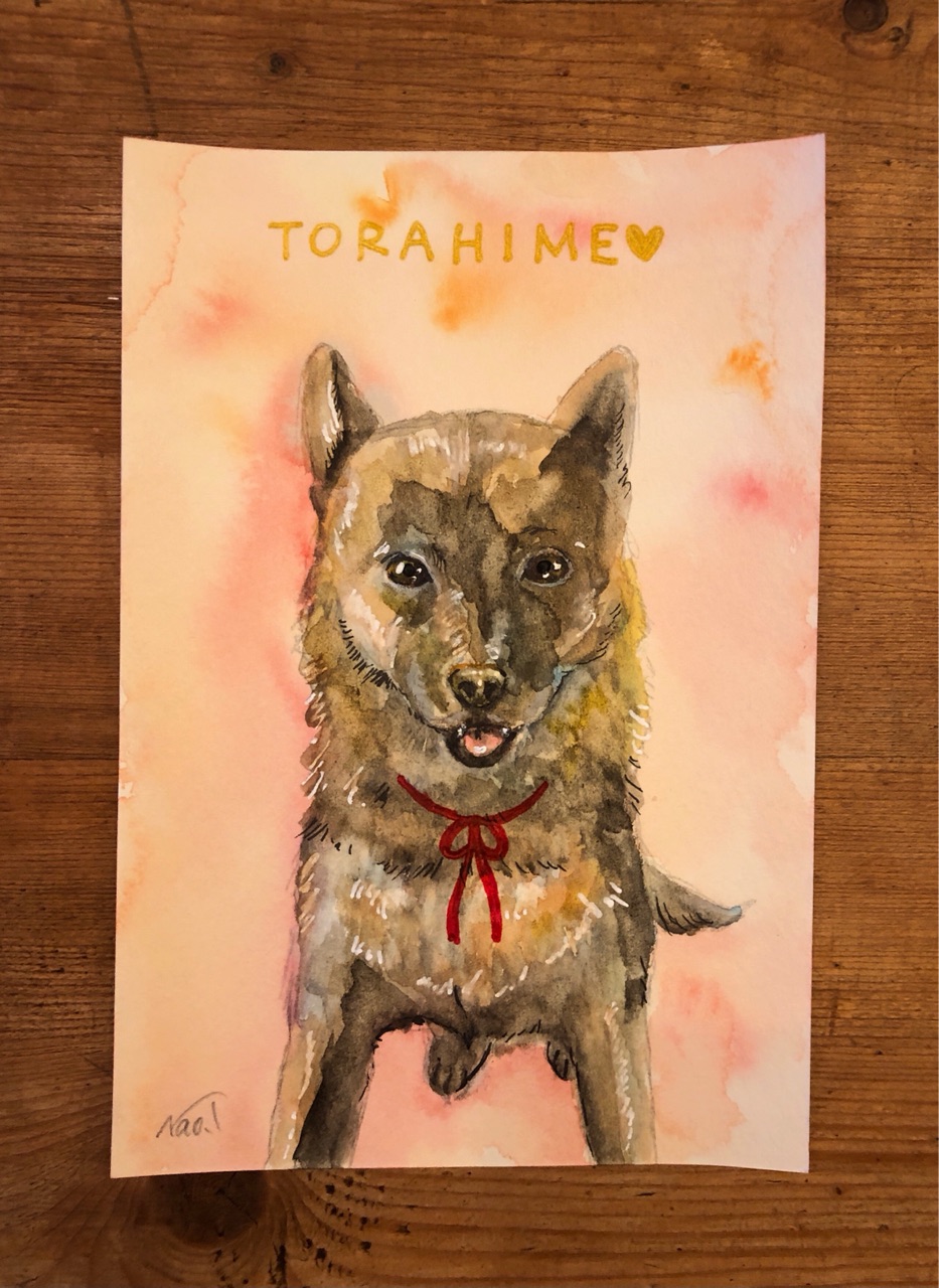 バーニーズと甲斐犬の肖像画 絵画 水彩画 ペットのオーダーイラスト 庭で宝物が見つかる ウチのナマモノ バーニーズと甲斐犬の肖像画 絵画 水彩画 ペットのオーダーイラスト 庭で宝物が見つかる ウチのナマモノ