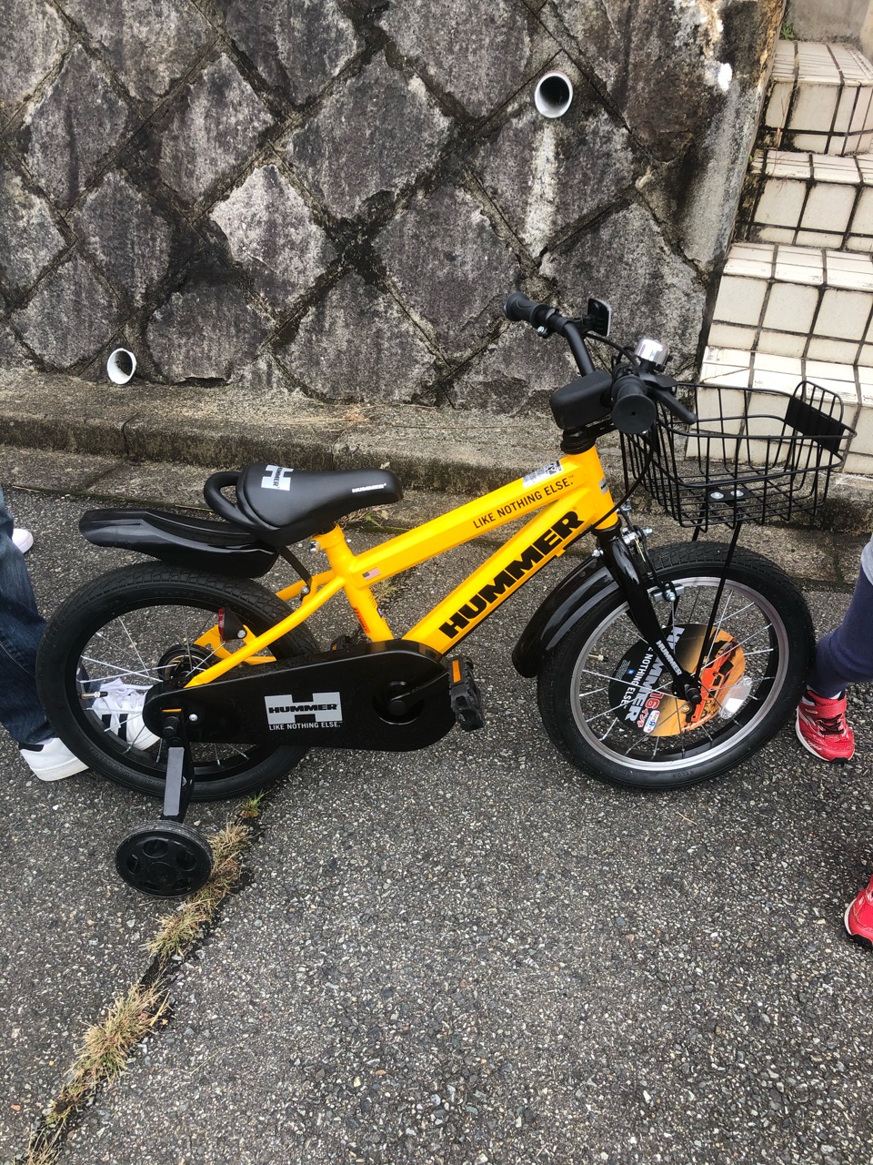 ボルゾイの変顔＆『山の恵みです』＆いちごのピアス : ウチのナマモノ