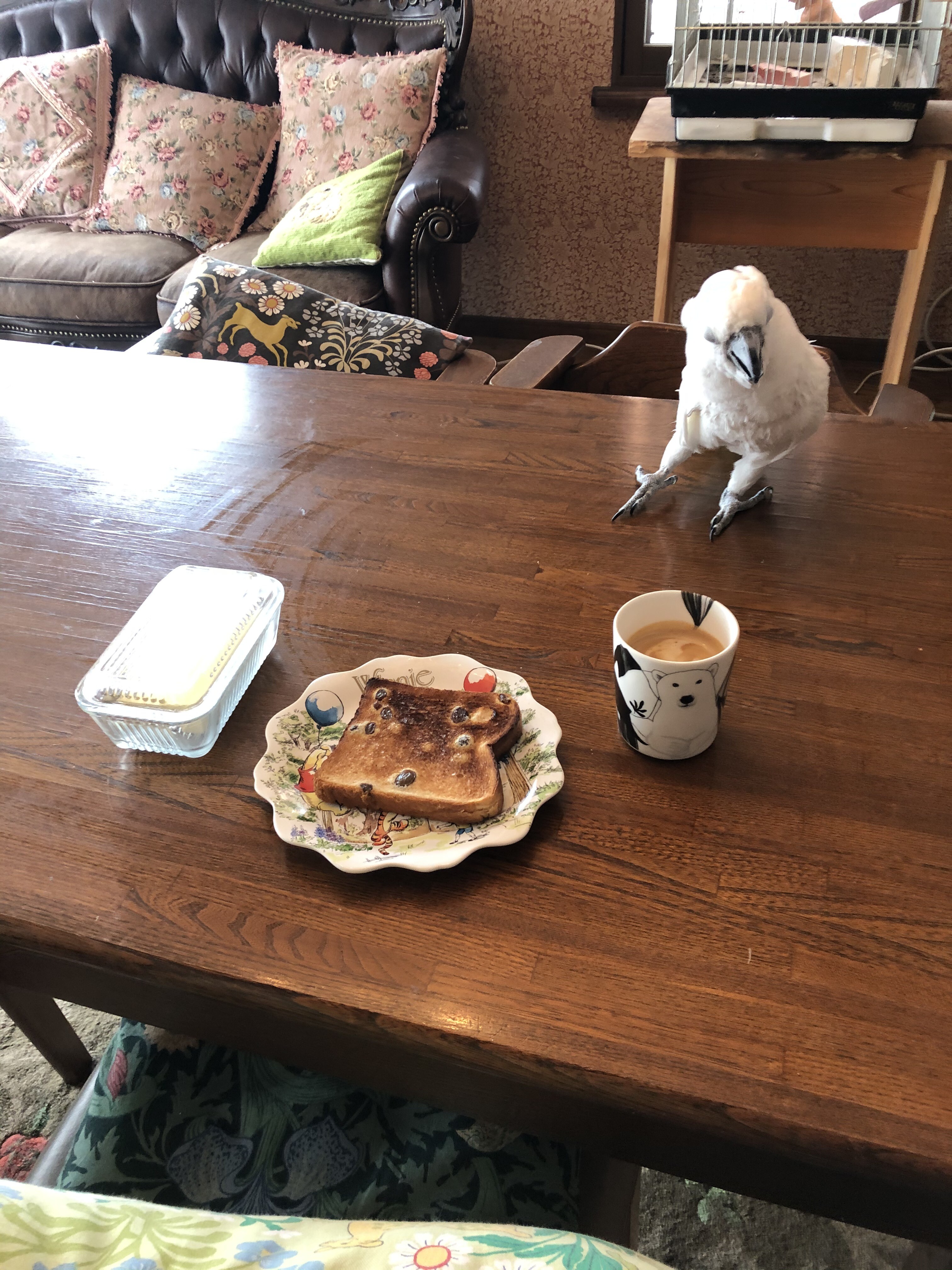 狙われしぶどうパン 犬と鳥にブドウは ウチのナマモノ