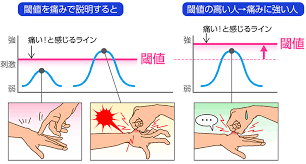 無題dgh