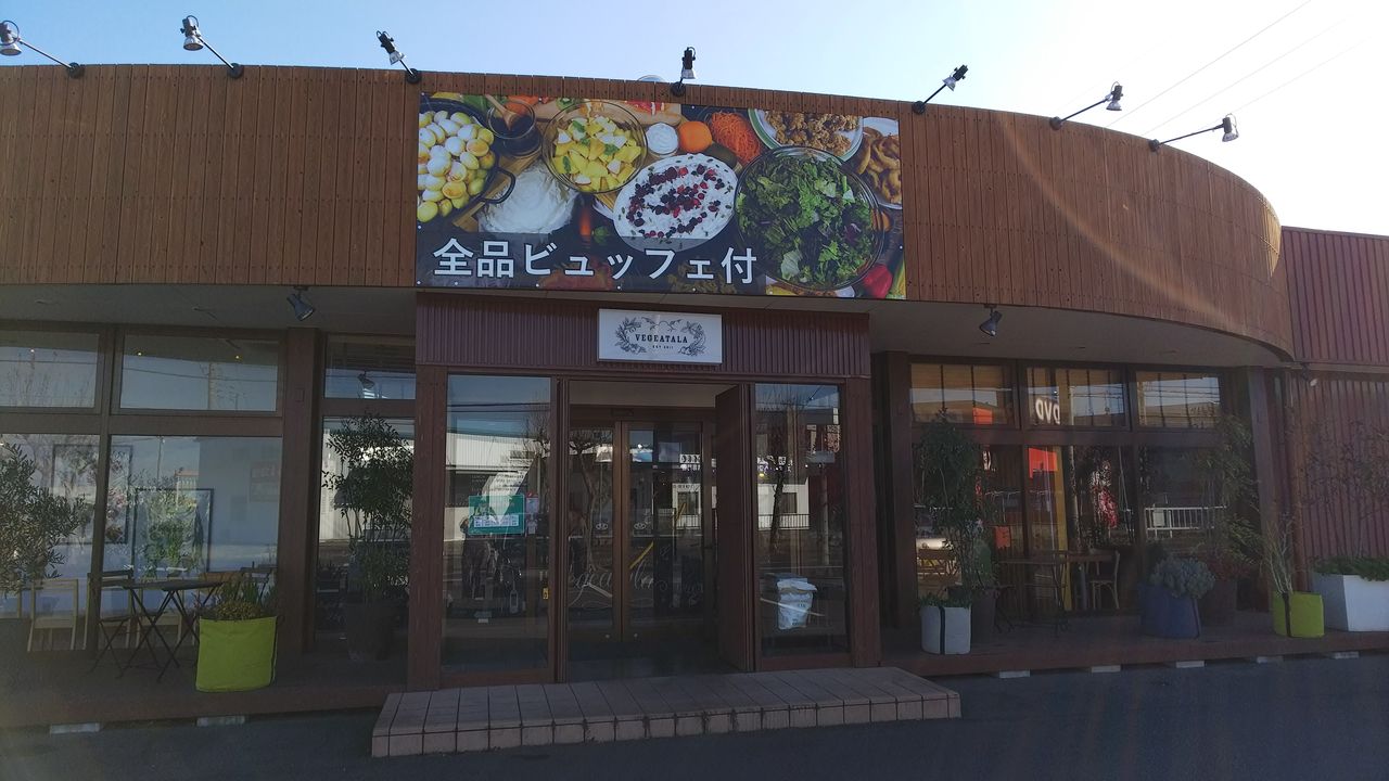 ベジターラでサラダビュッフェ Mana整骨院は今日も健康と食べ物 ワンコの話ばかりなり ベジターラでサラダビュッフェ Mana整骨院は今日も健康と食べ物 ワンコの話ばかりなり