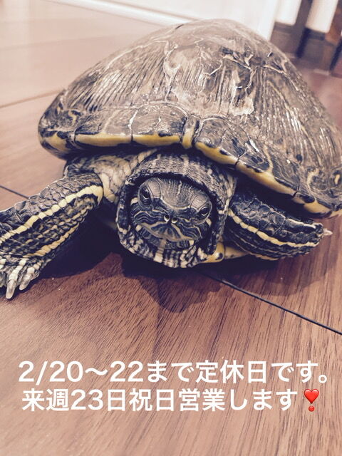 2022.02.20