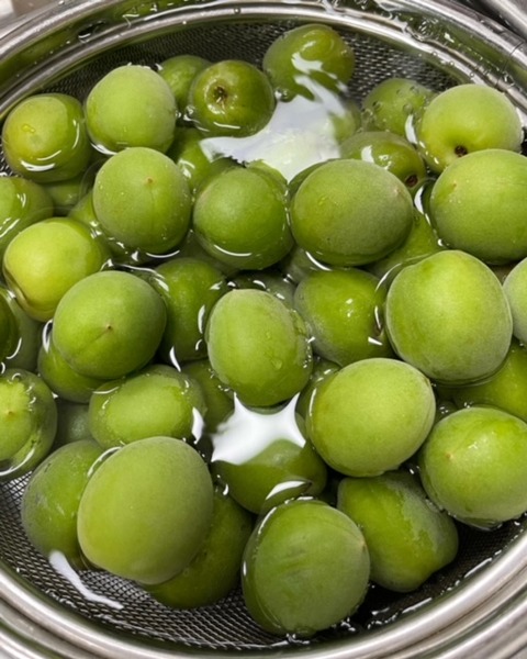 82903398-510E-4C44-8D72-4714897CAA1D