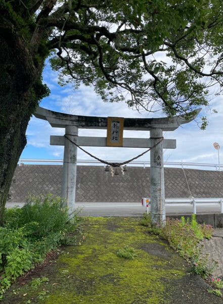 龍神01