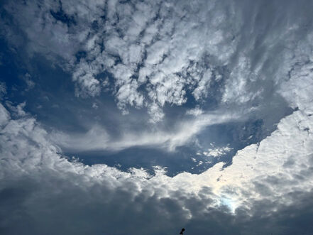 伊勢龍雲