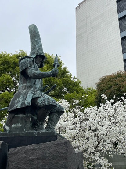 sakura01